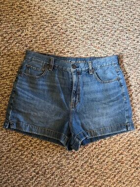 American Eagle Outfitters Mom Shorts